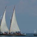 Regate Vieux Bateaux - 158 - 2008